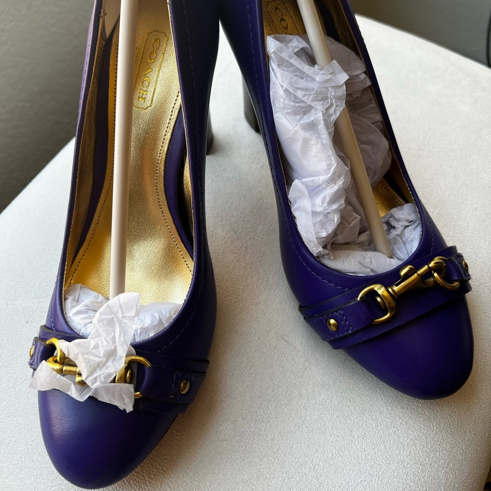Coach Desaree Leather Ultraviolet Heel Pumps